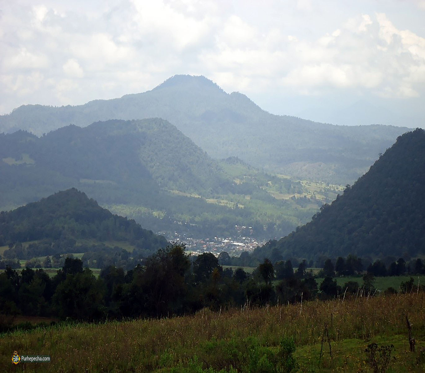 Vista previa del art�culo